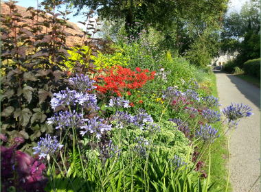 Late Summer Border 3